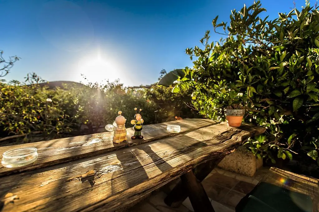 Casas Alberto Teleworking (Adults Only) San Miguel de Abona 0*,  Spain